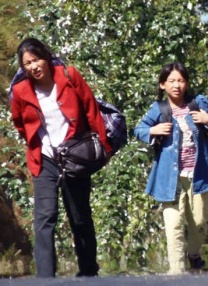 婷婷不卡
